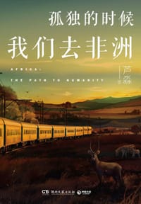 书籍 孤独的时候我们去非洲的封面