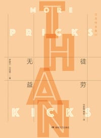 书籍 徒劳无益的封面