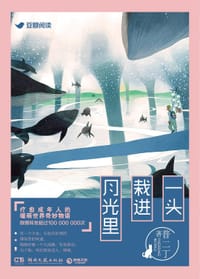 一头栽进月光里 - 普二丁