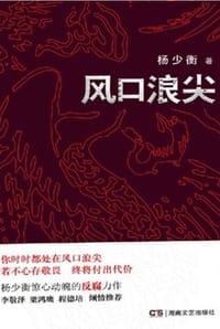 书籍 风口浪尖的封面