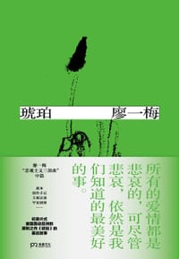 书籍 琥珀的封面