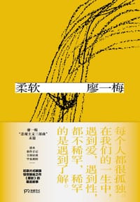 书籍 柔软的封面