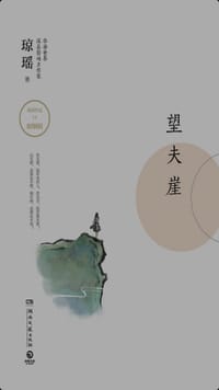 书籍 望夫崖的封面