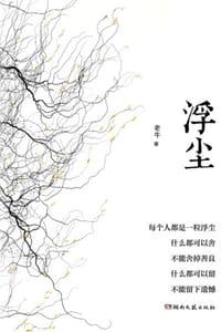 书籍 浮尘的封面