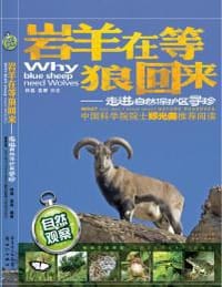 岩羊在等狼回来 - 钟嘉