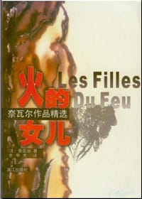 书籍 火的女儿的封面