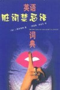 书籍 英语脏词禁忌语词典的封面