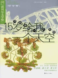 书籍 15岁给我一个天空的封面