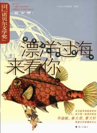 书籍 漂洋过海来看你的封面