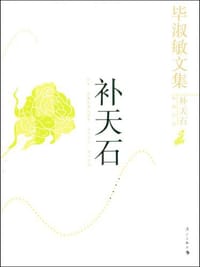 补天石 - 毕淑敏