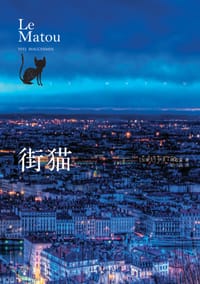 街猫 - (加)伊夫·博歇曼
