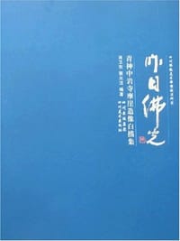 昨日佛光-青神中岩寺摩崖造像