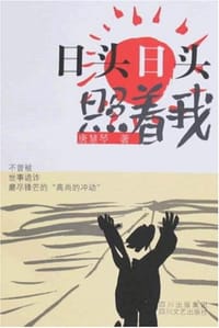 书籍 日头日头照着我的封面