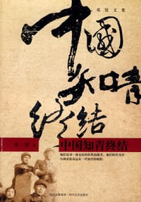 书籍 中国知青终结的封面