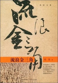书籍 流浪金三角的封面