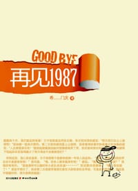 书籍 再见1987的封面