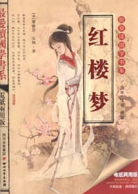 红楼梦 - 无名图书