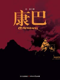 书籍 康巴 （修订本）的封面