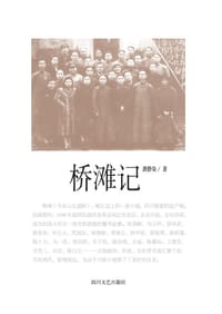 书籍 桥滩记的封面