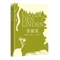 书籍 菩提花的封面