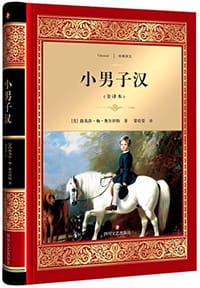 书籍 小男子汉的封面