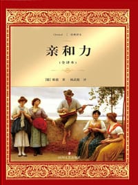 书籍 亲和力的封面