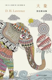 书籍 大象的封面