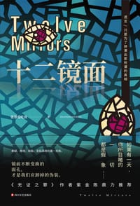 书籍 十二镜面的封面