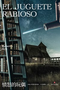 书籍 愤怒的玩偶的封面