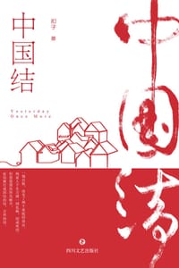 书籍 中国结的封面