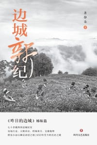 书籍 边城新纪的封面