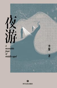 书籍 夜游的封面