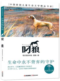 书籍 叼狼的封面