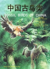 书籍 中国古鸟类的封面