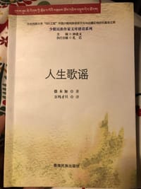 书籍 人生歌谣的封面