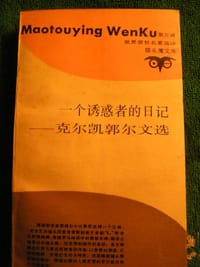 一个诱惑者的日记 - [丹麦] 克尔凯郭尔