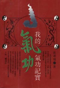 书籍 我的气功记实的封面