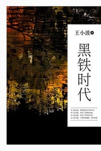 黑铁时代 - 王小波