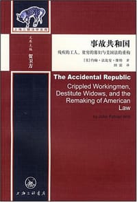 事故共和国 - [美] 约翰·法比安·维特