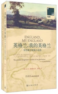 书籍 英格兰，我的英格兰的封面