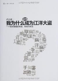 我为什么没有成为江洋大盗 - 卢小波