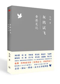 书籍 灰鸽试飞的封面