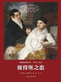 书籍 彼得堡之恋的封面