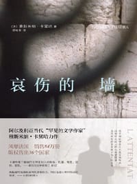 哀伤的墙 - [法] 雅斯米纳·卡黛哈