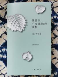 微弱但不可摧毁的事物：胡少卿诗选 - 胡少卿
