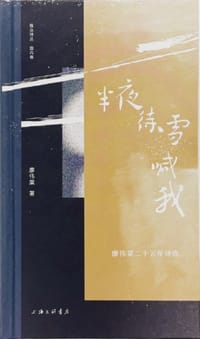 书籍 半夜待雪喊我的封面