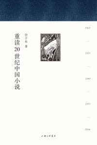 书籍 重读20世纪中国小说的封面