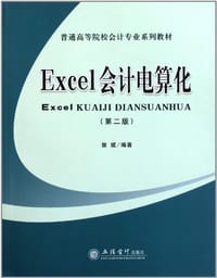 Ecel会计电算化