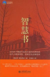 书籍 智慧书的封面