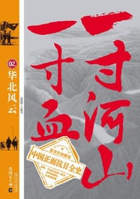 书籍 一寸河山一寸血.2的封面